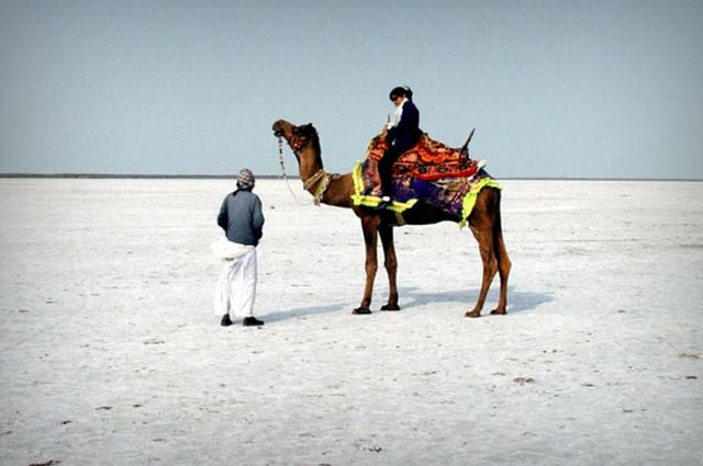 White Rann